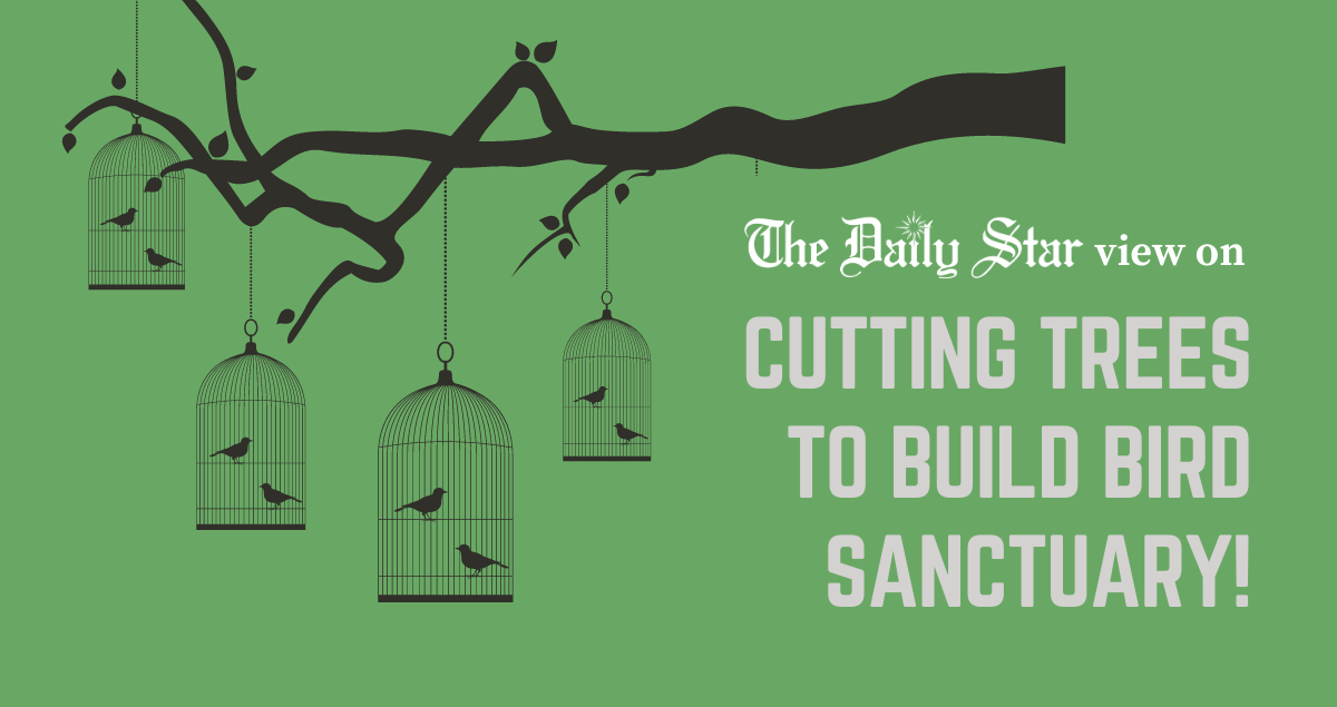 Why are we so intent on killing forests?