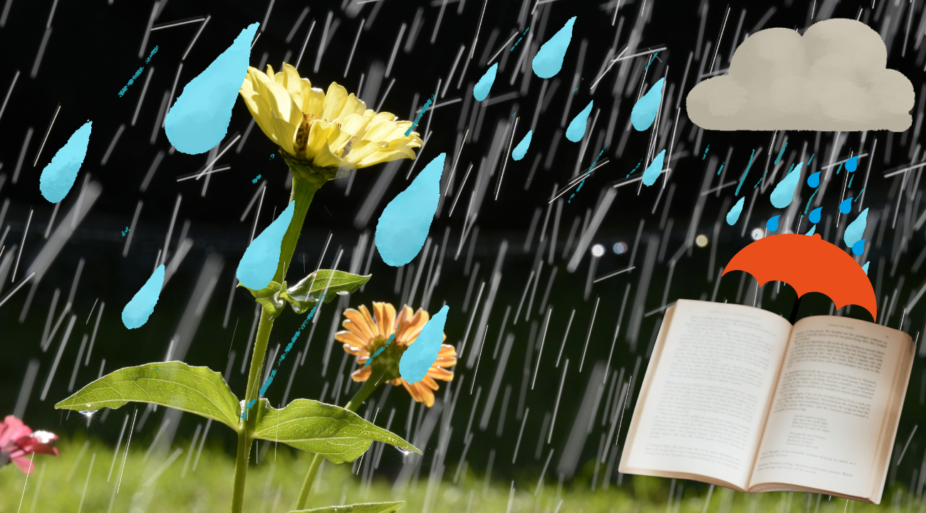 On rainy days and reading