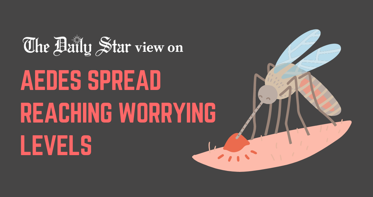 Dengue can be deadlier this year 