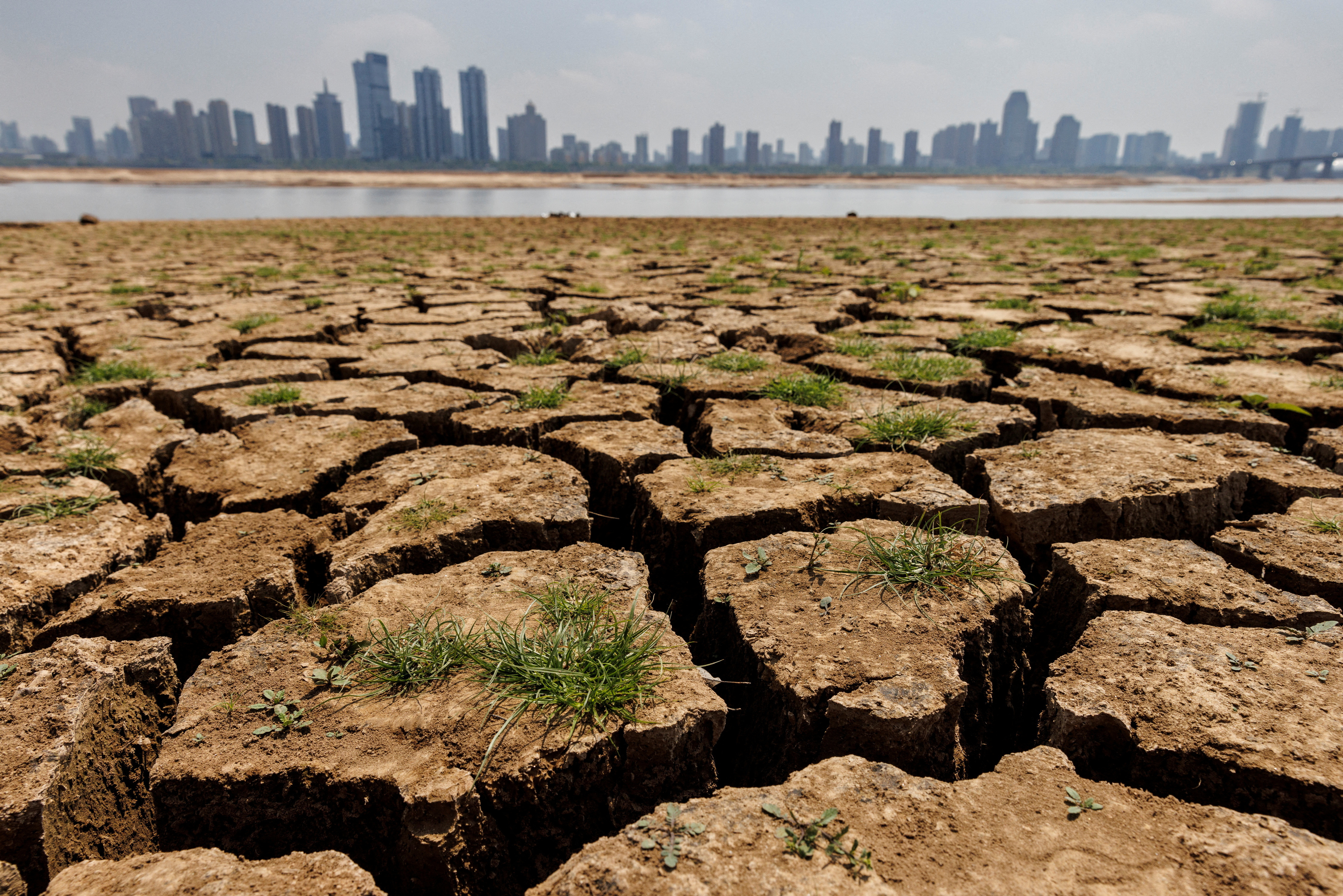 How can we deal with the looming climate, food crises?