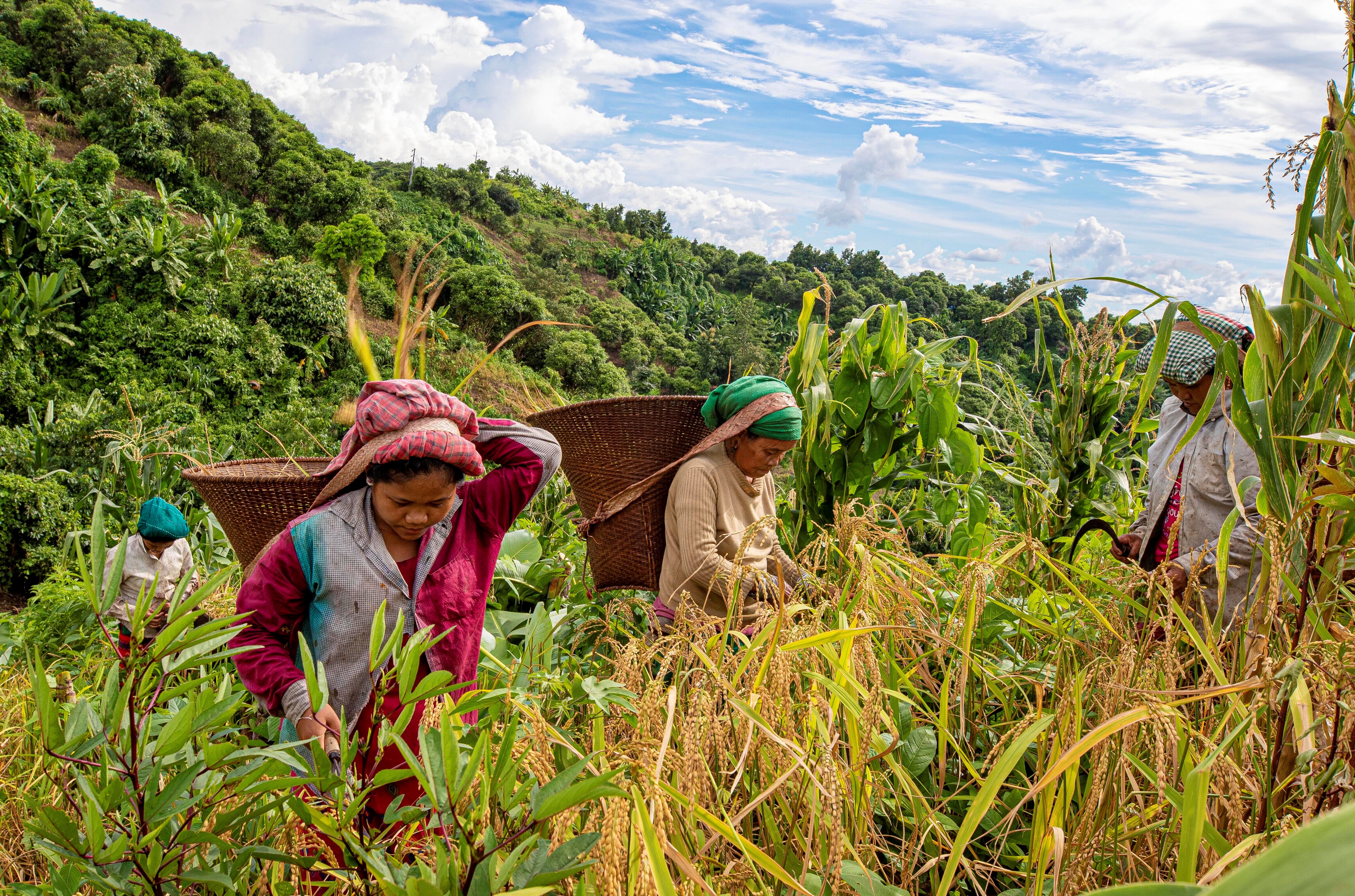 Agritourism for improving education and rural entrepreneurship