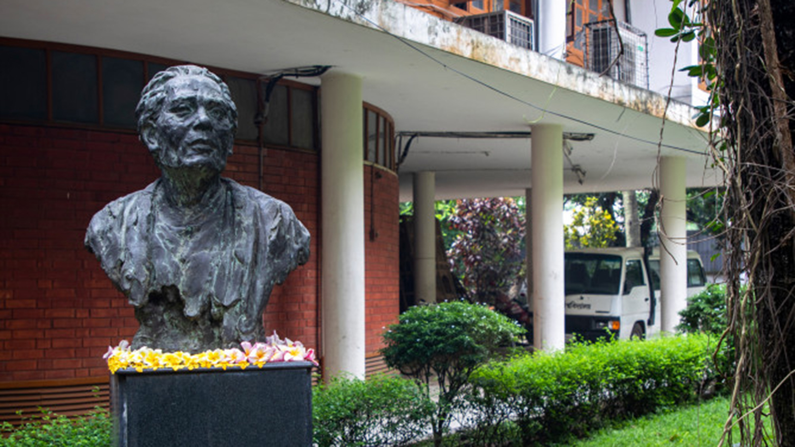 The Vivid World of Fine Arts