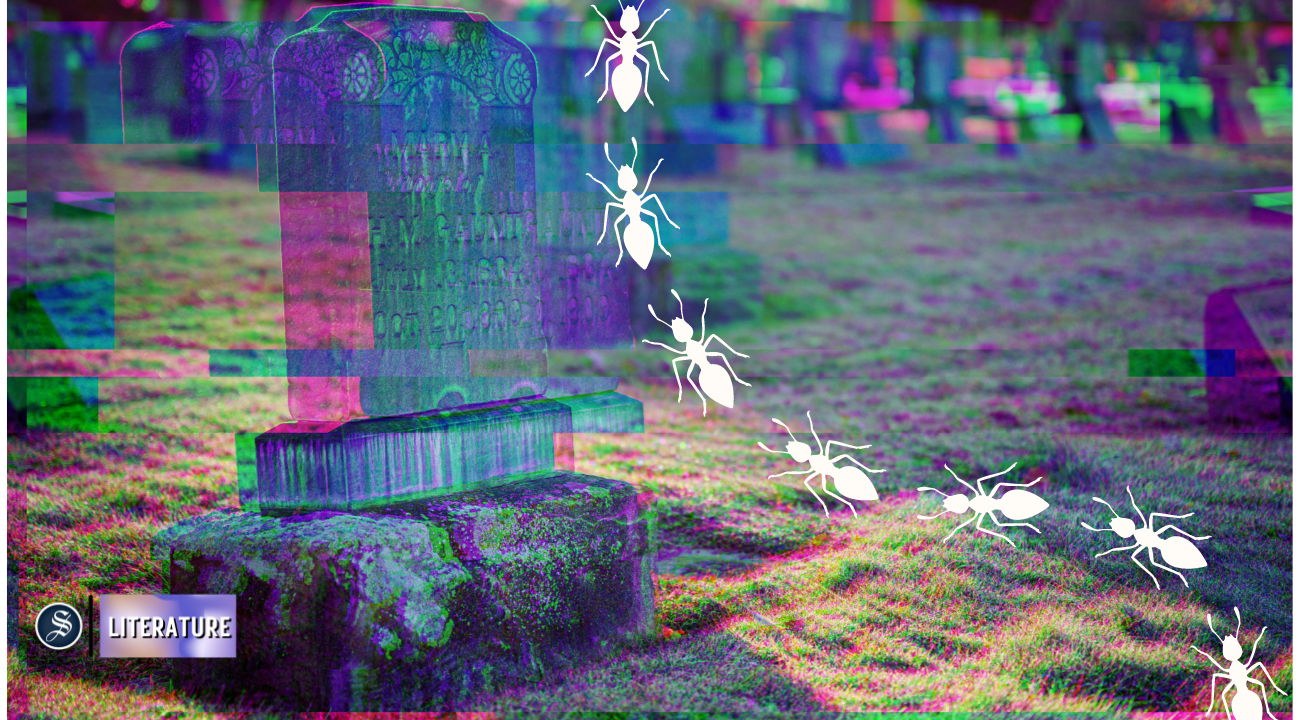 The graveyard in Banani