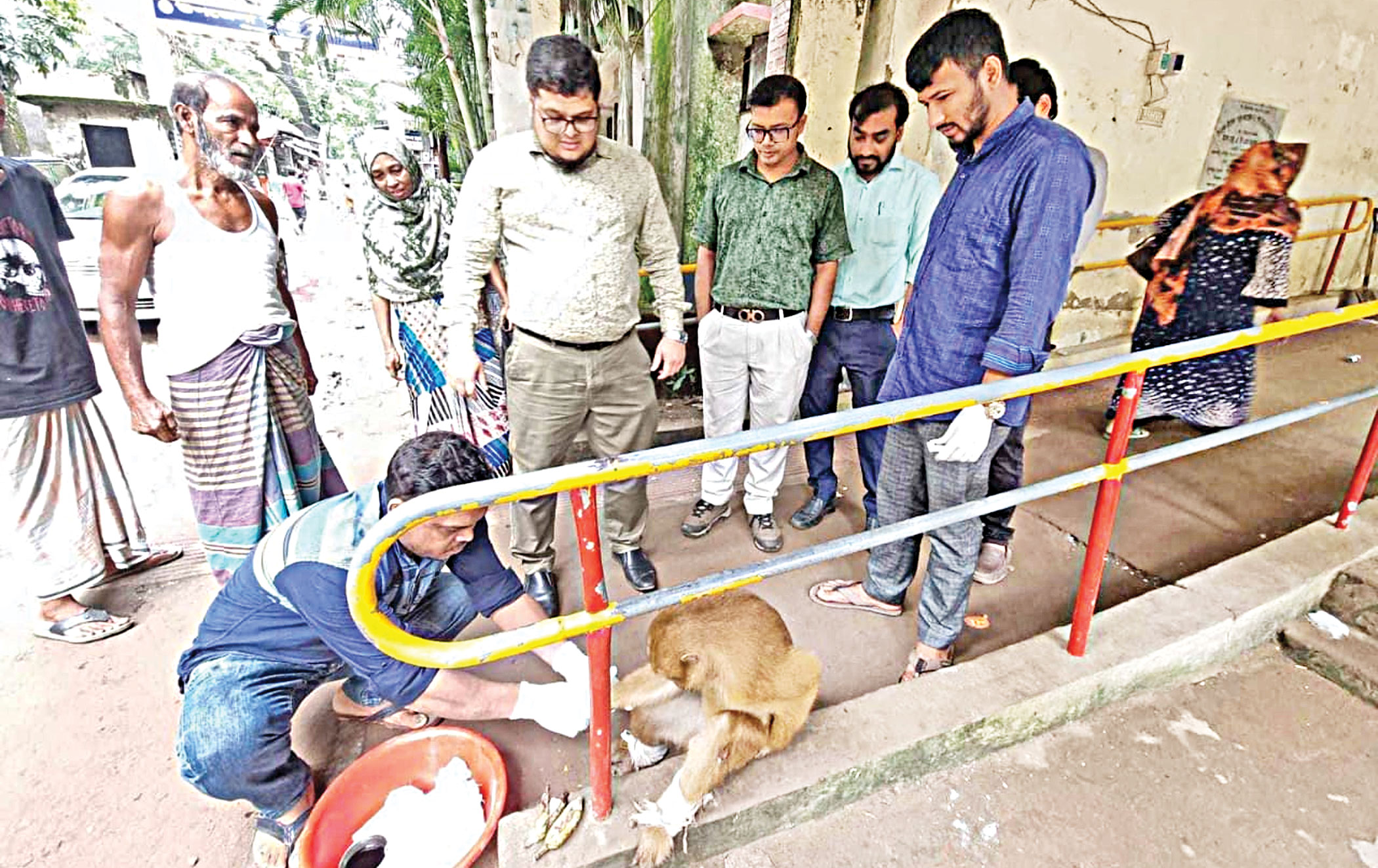 Injured monkey seeks help at health complex