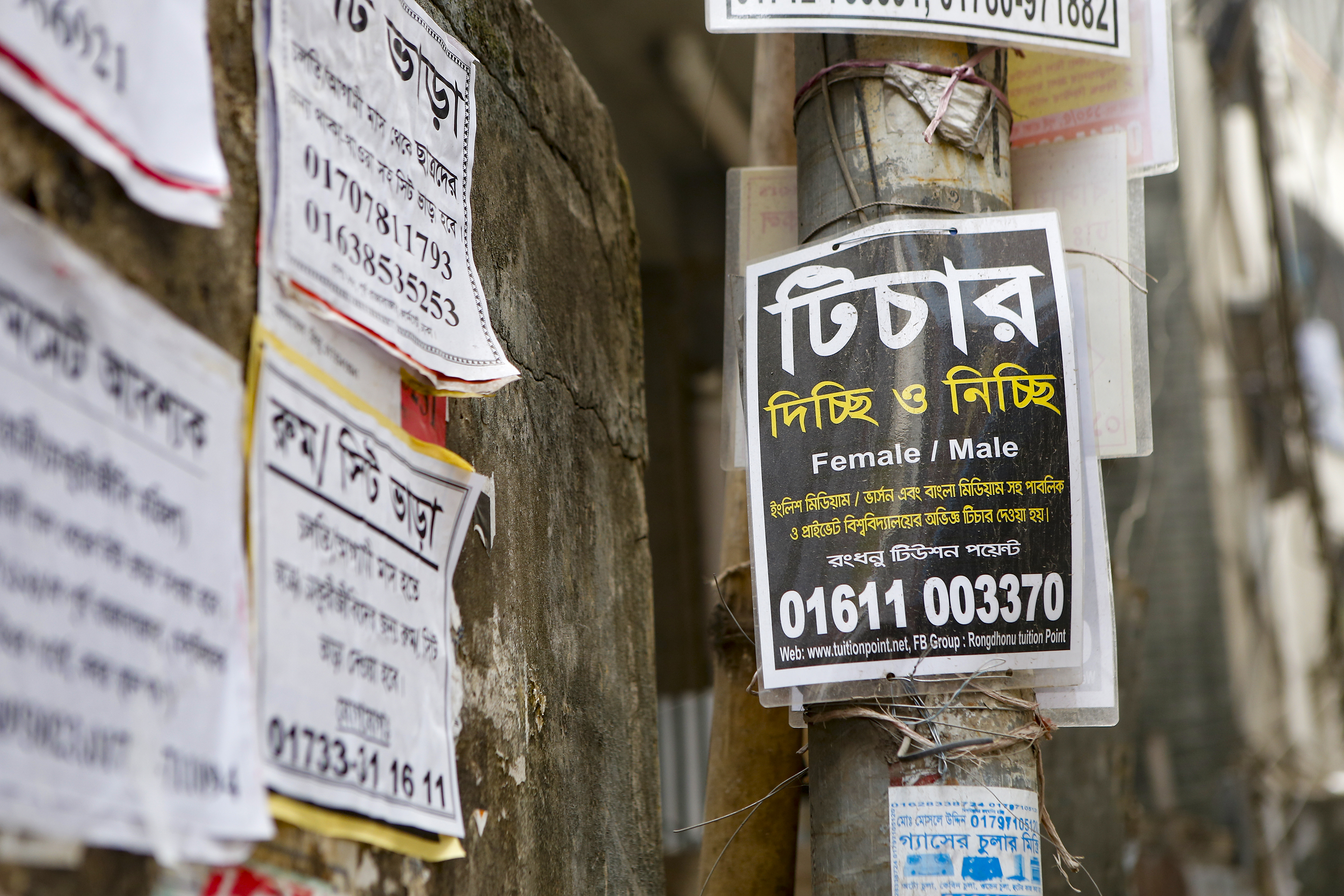 How to find a tuition gig that is right for you