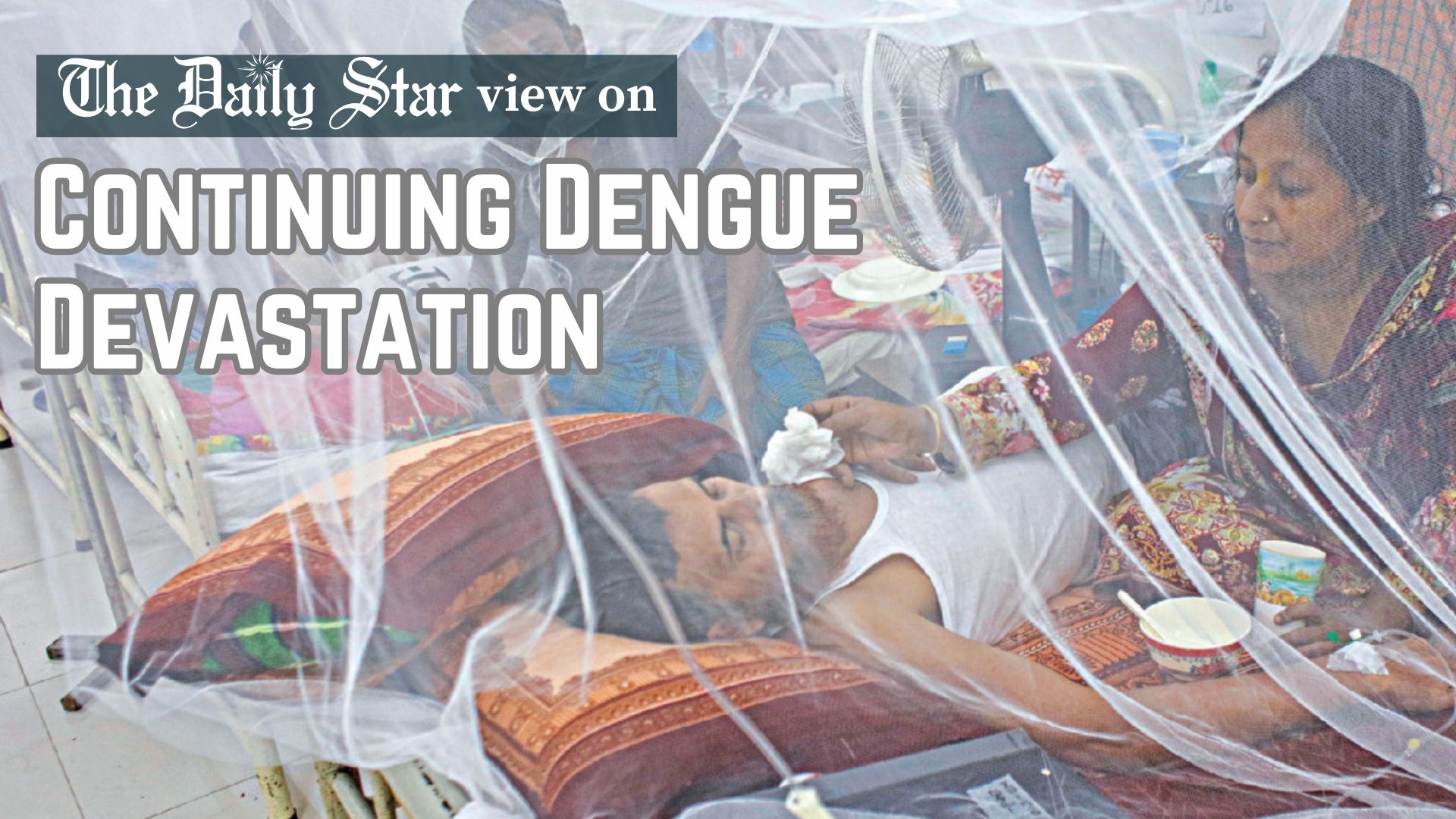 Deadliest dengue year demands accountability
