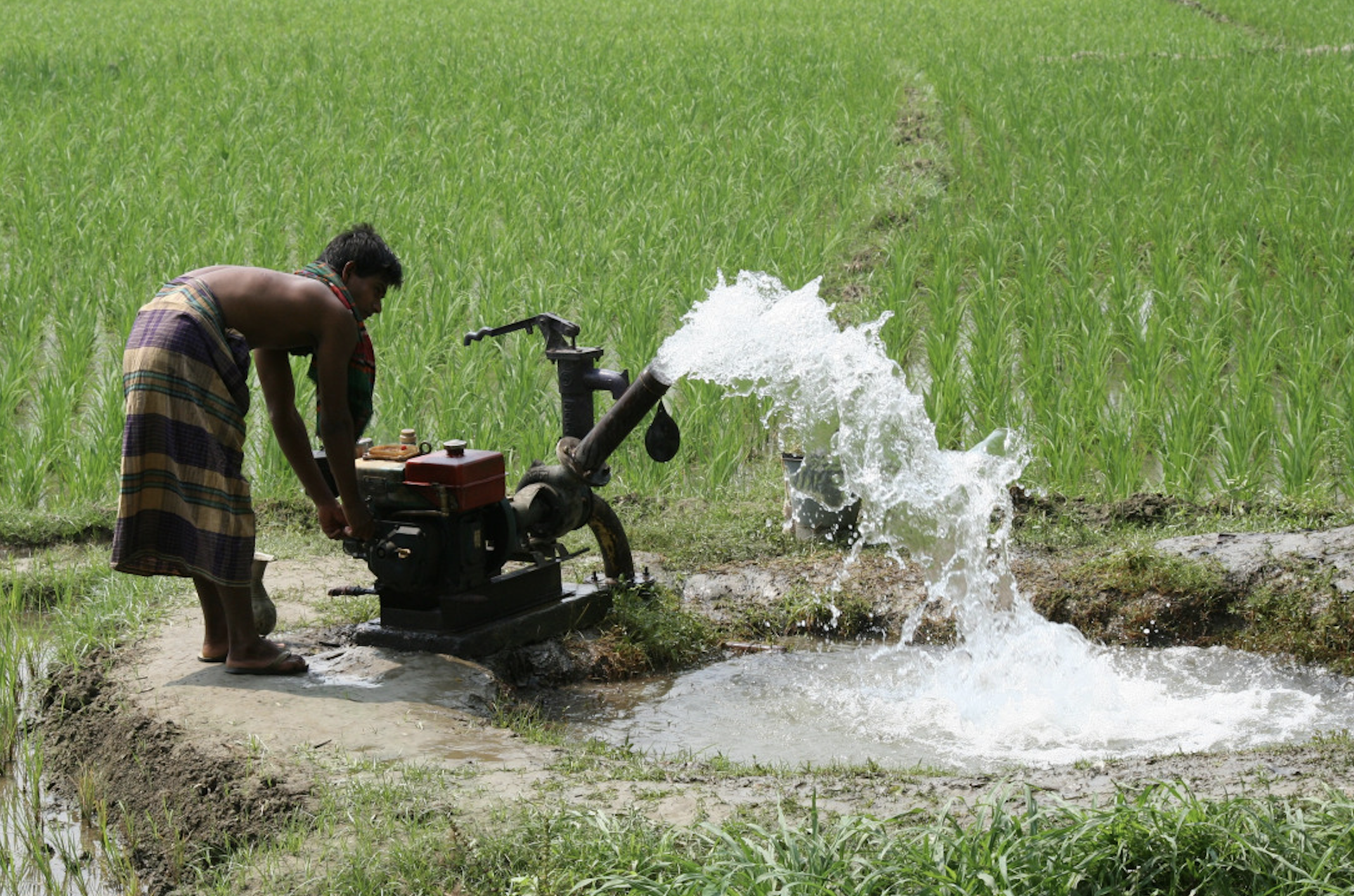 Reducing methane emissions in our agriculture