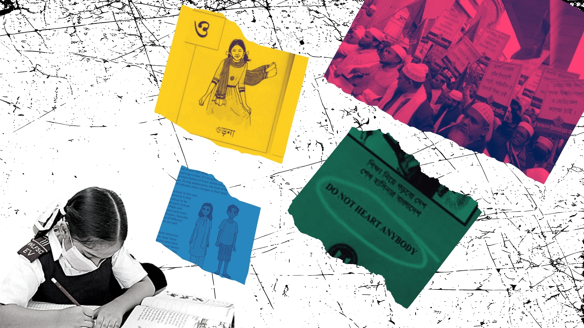 Textbooks, curriculum and the politics of education