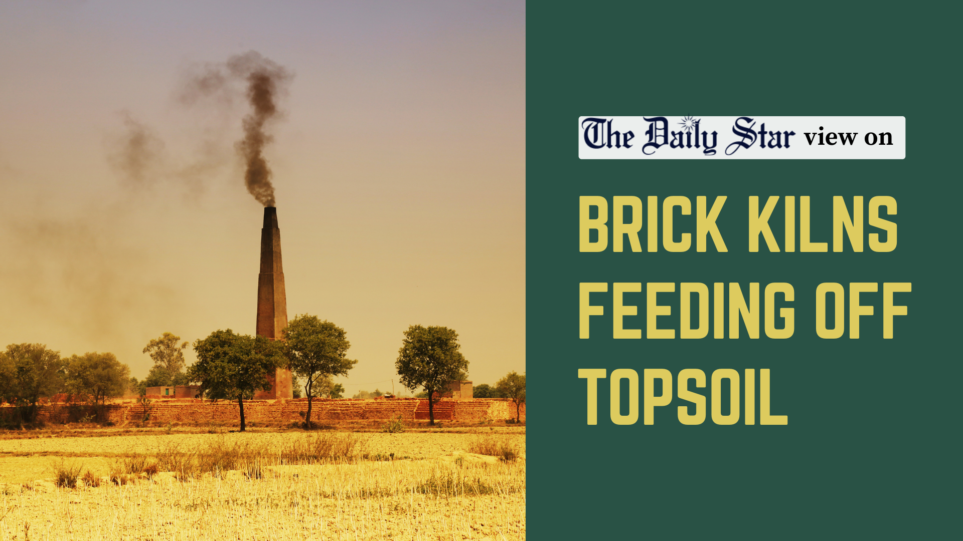 Stop brick kilns from devouring farmlands