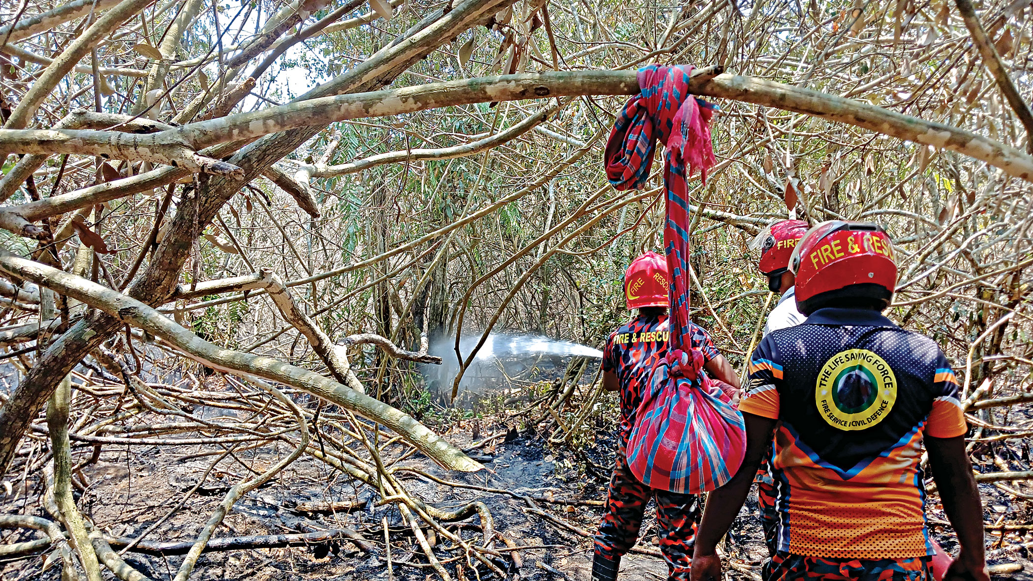 Sundarbans: All fires in 23 years were confined to only 5pc area