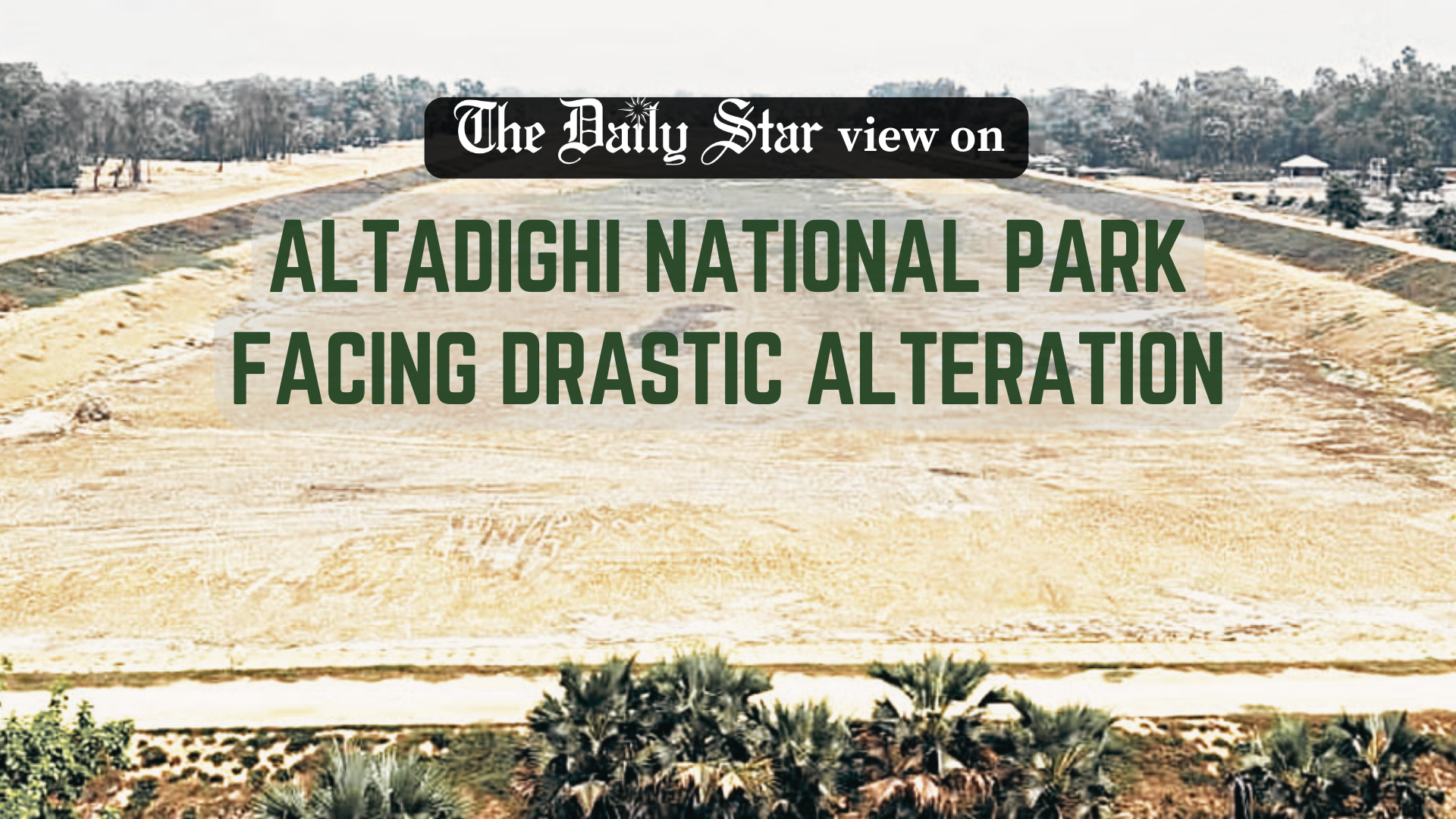 Strict oversight is vital to end the tree-cutting bonanza