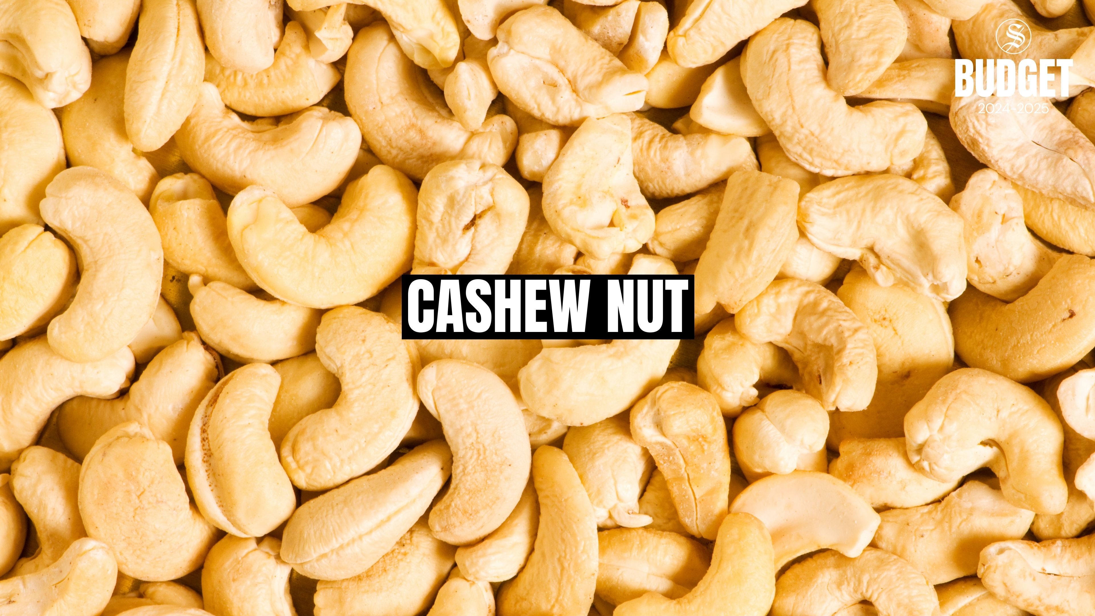 Shelled cashew nuts may get pricier