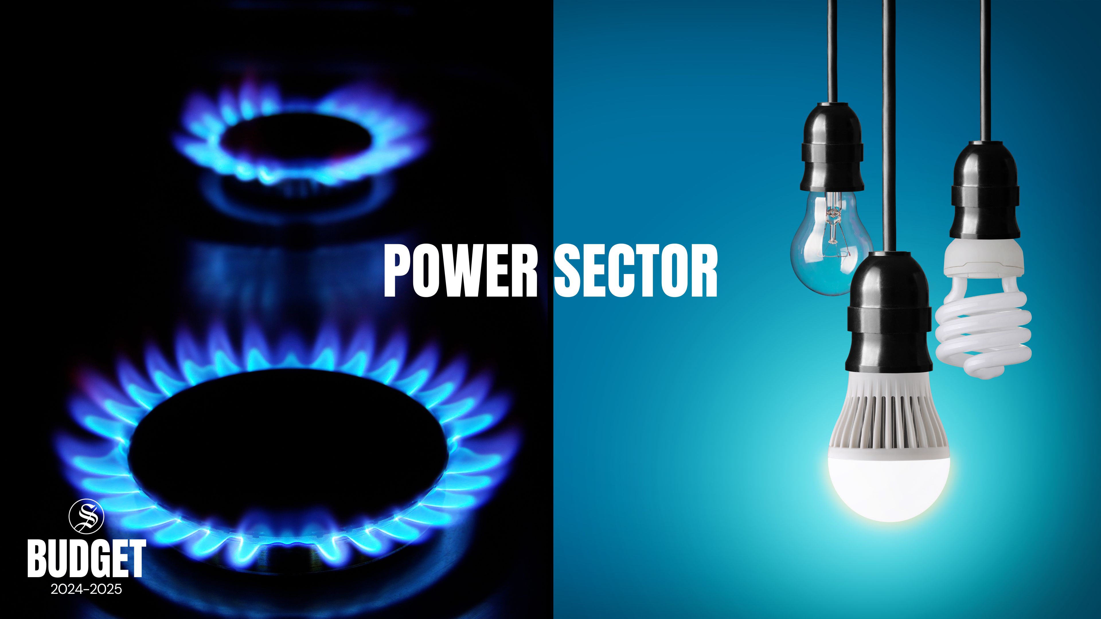 Budget FY25: Power sector sees 15% allocation cut