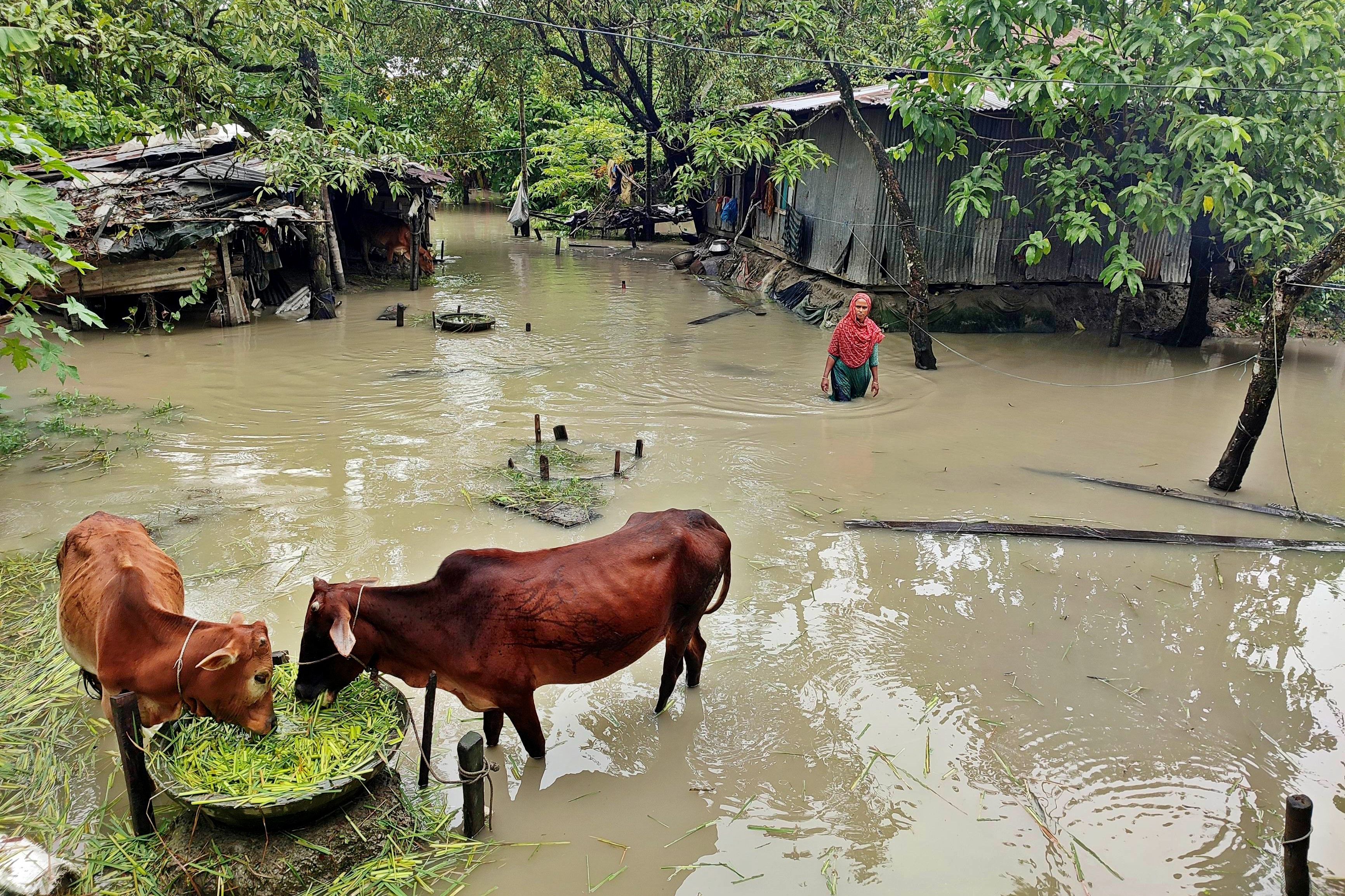Rethinking Disaster Response: We ignore indigenous knowledge at our peril