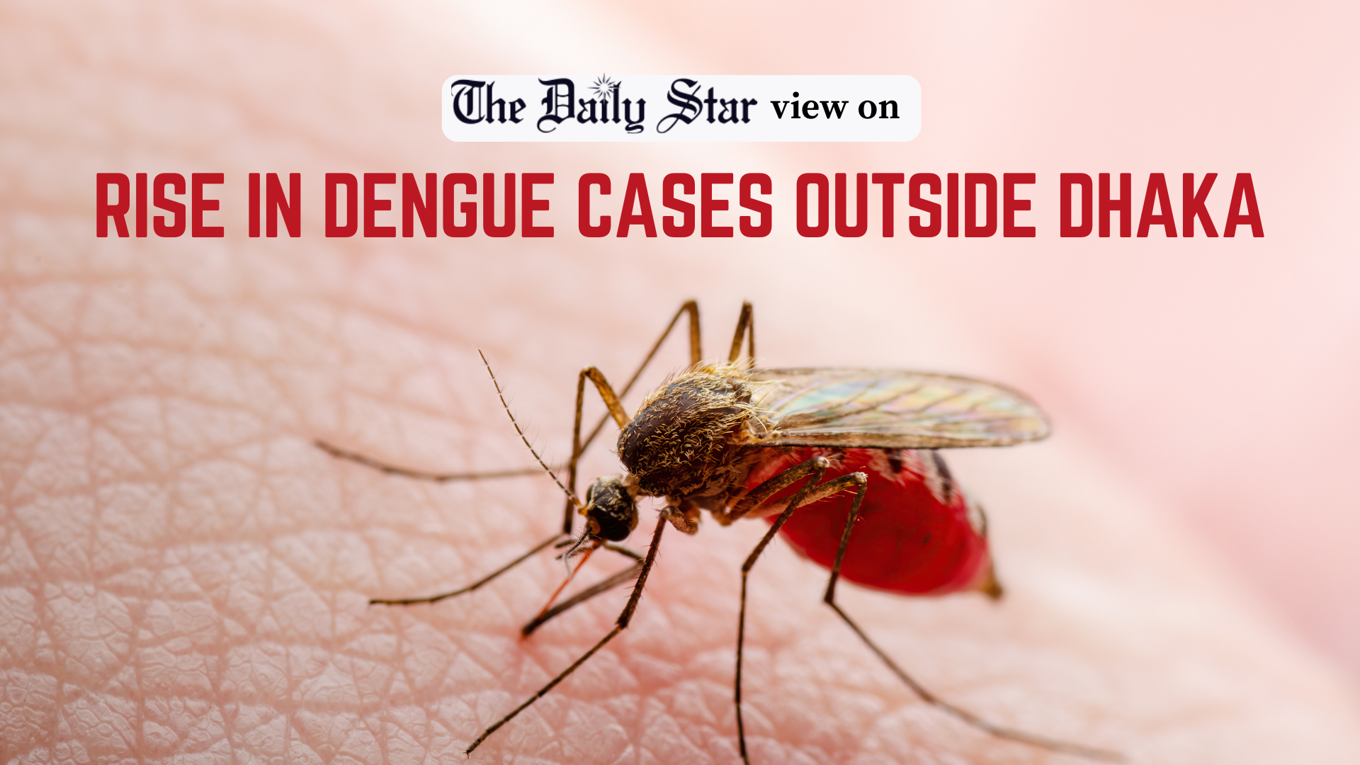 Govt should prioritise dengue control