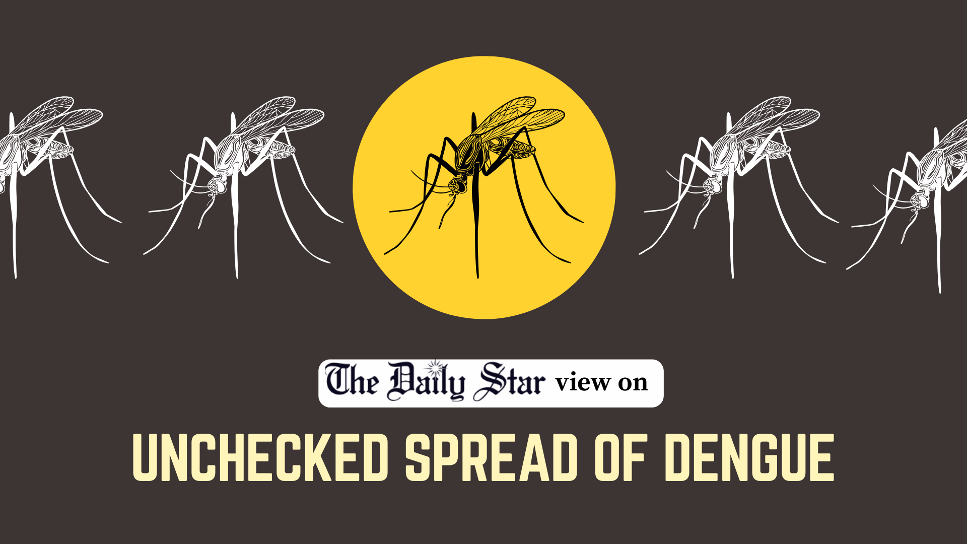We need effective action to curb dengue spread