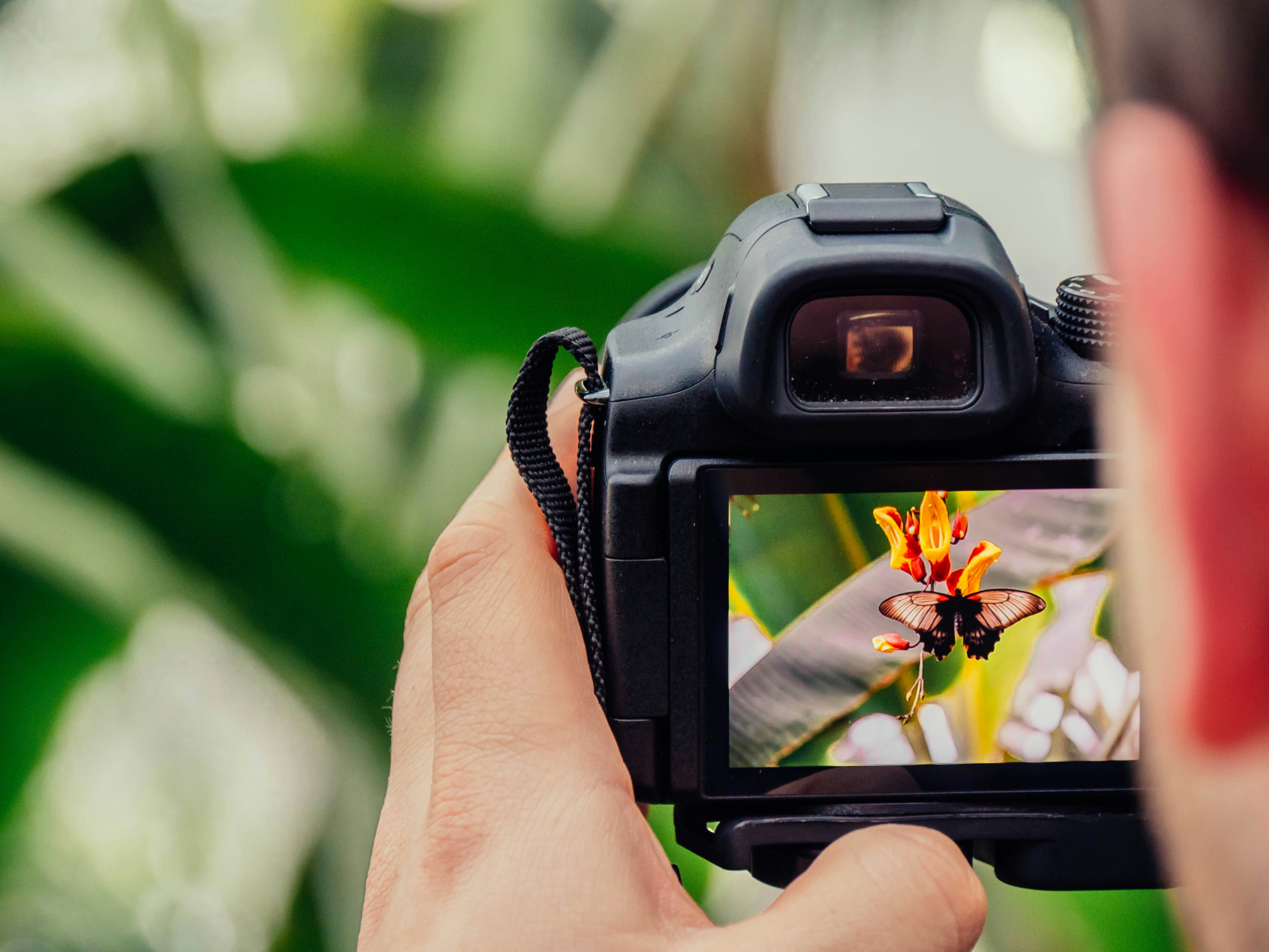 Level up your photography skills—5 YouTube channels to follow now