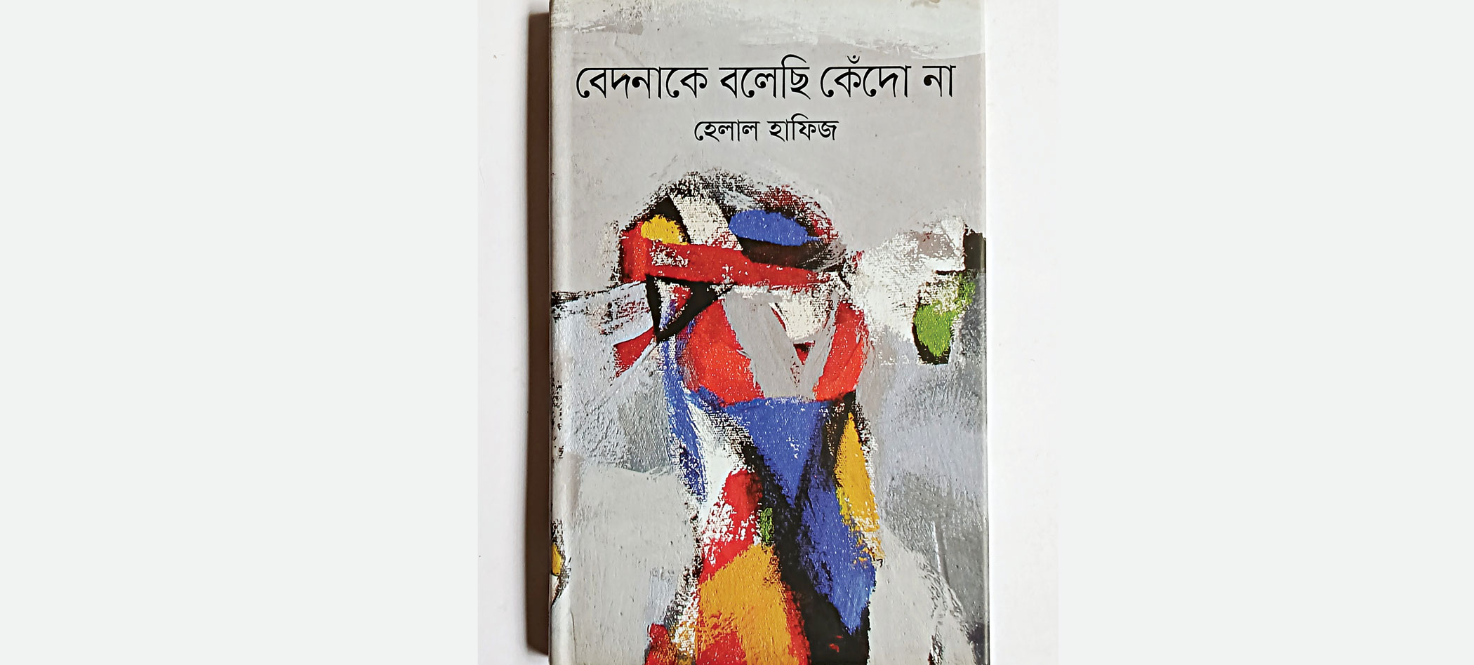 The shabby turtle without a shore