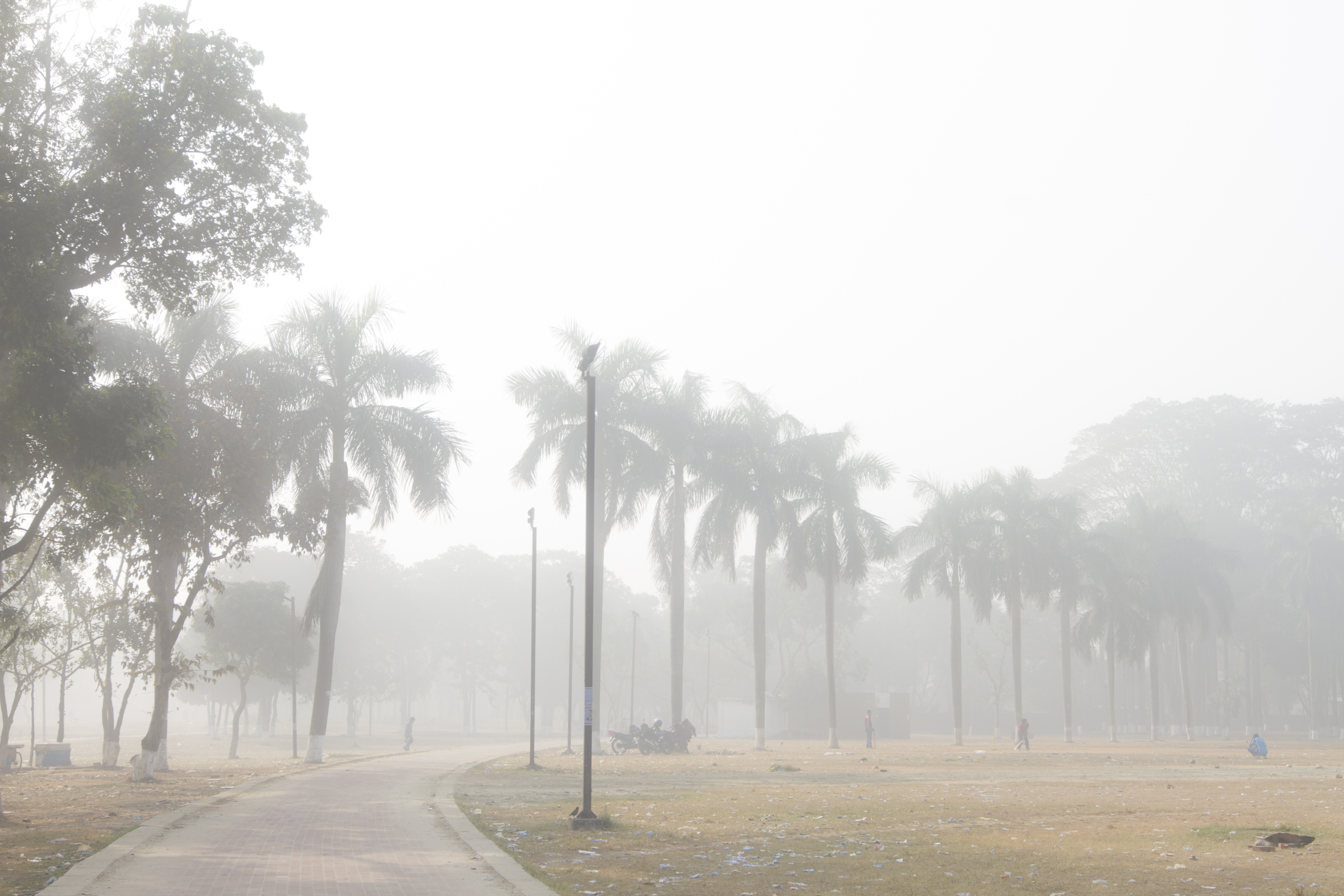 Dust, mosquitoes, dry skin: Dhaka’s real winter dilemmas