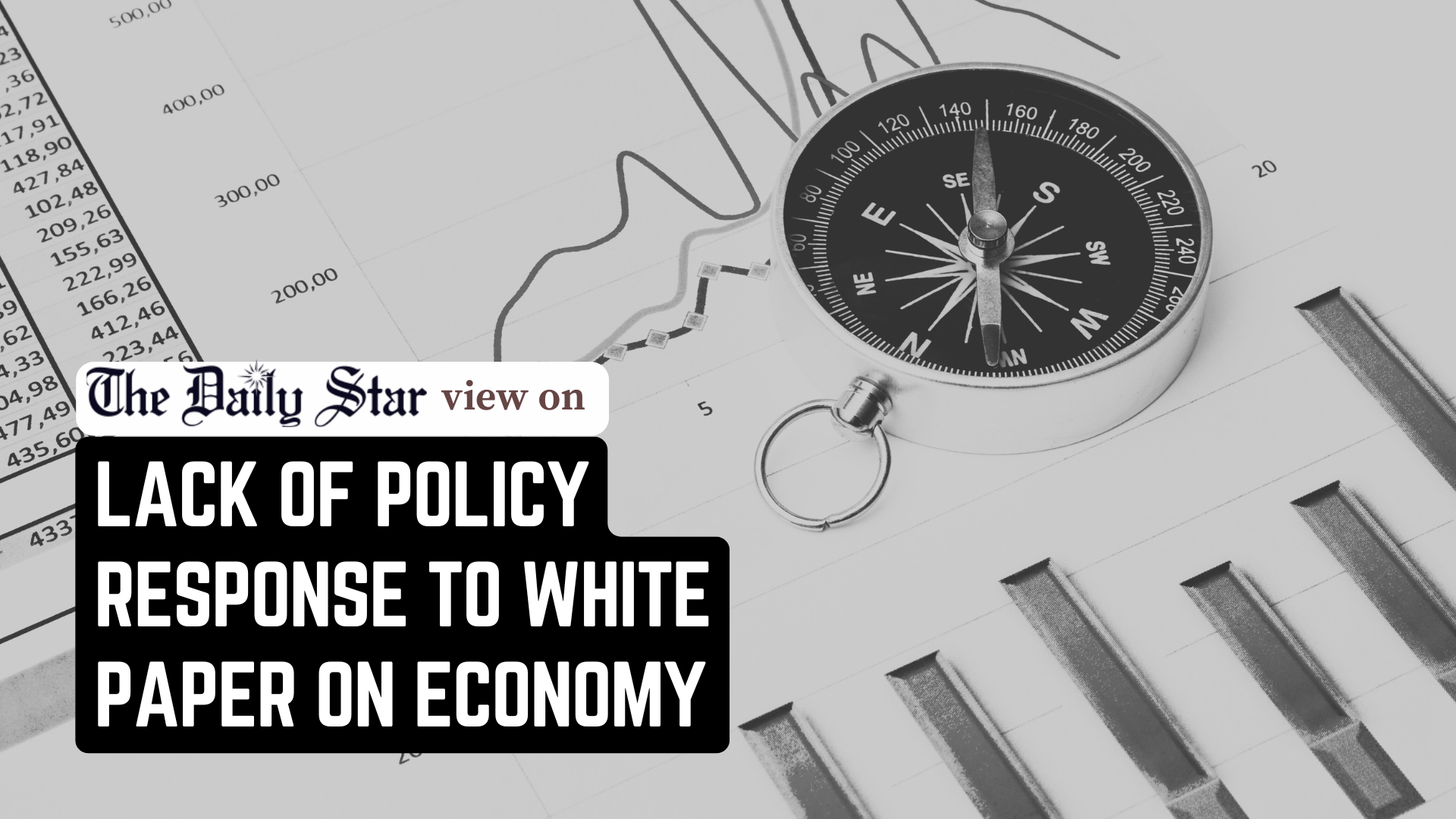 What was the point of a white paper on economy?