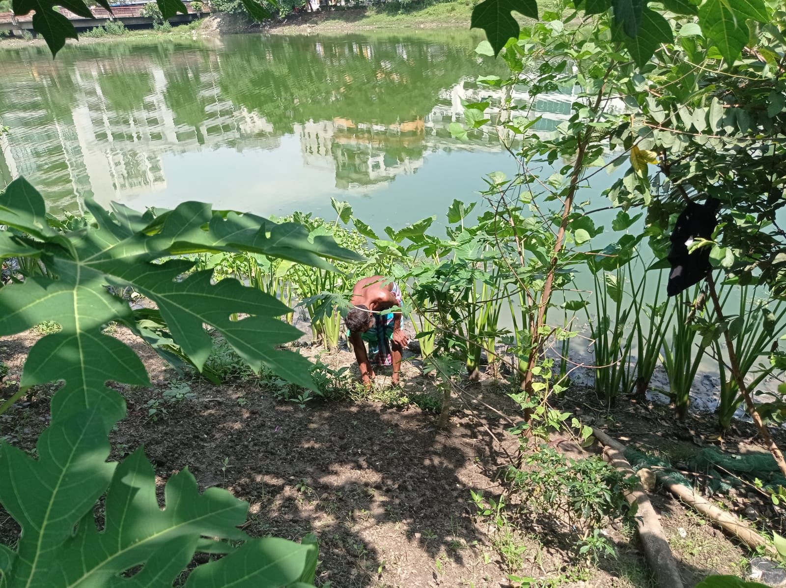 Urban farmers' contribution must be recognised to restore Dhaka's wetlands