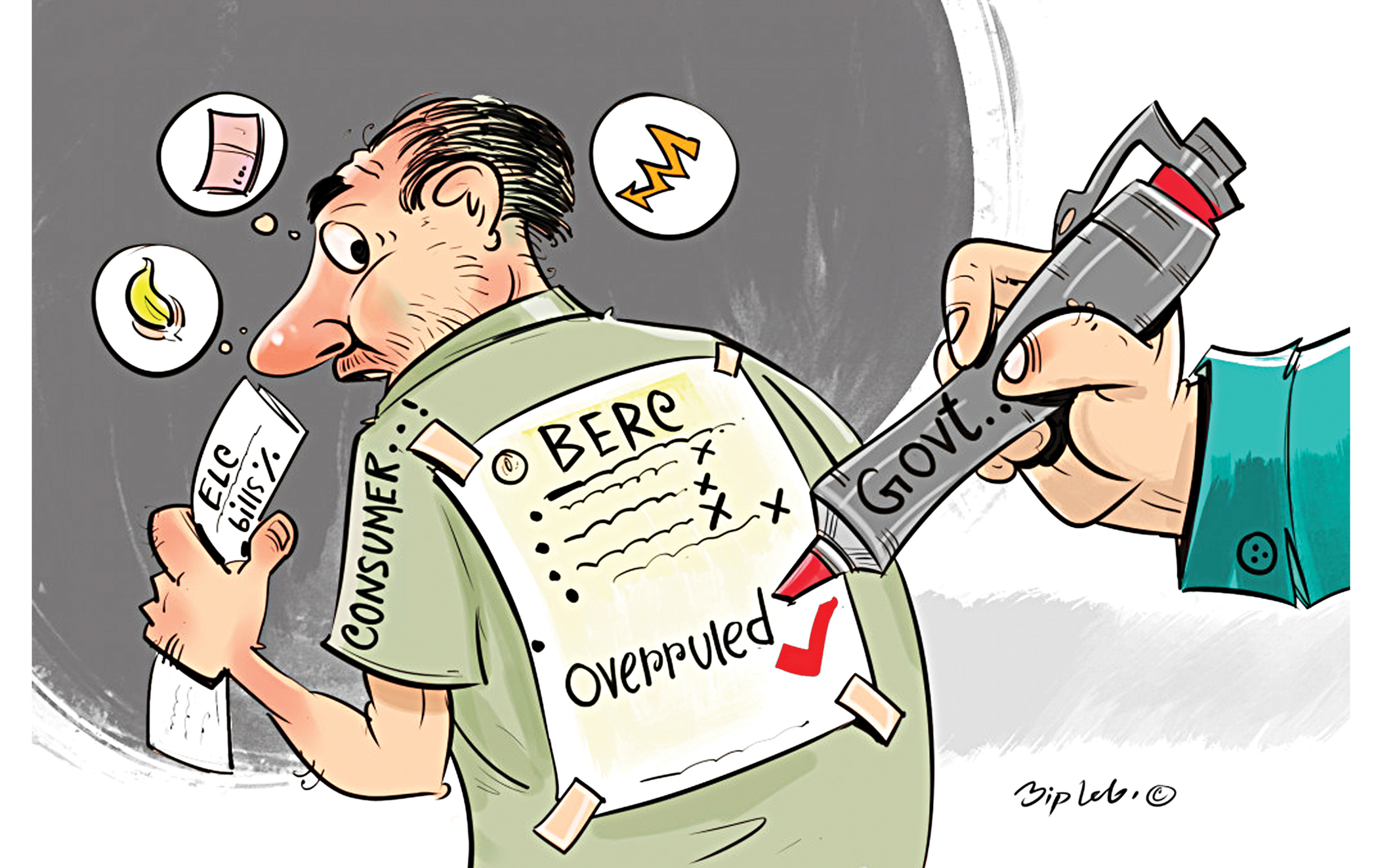 The need for power sector reforms