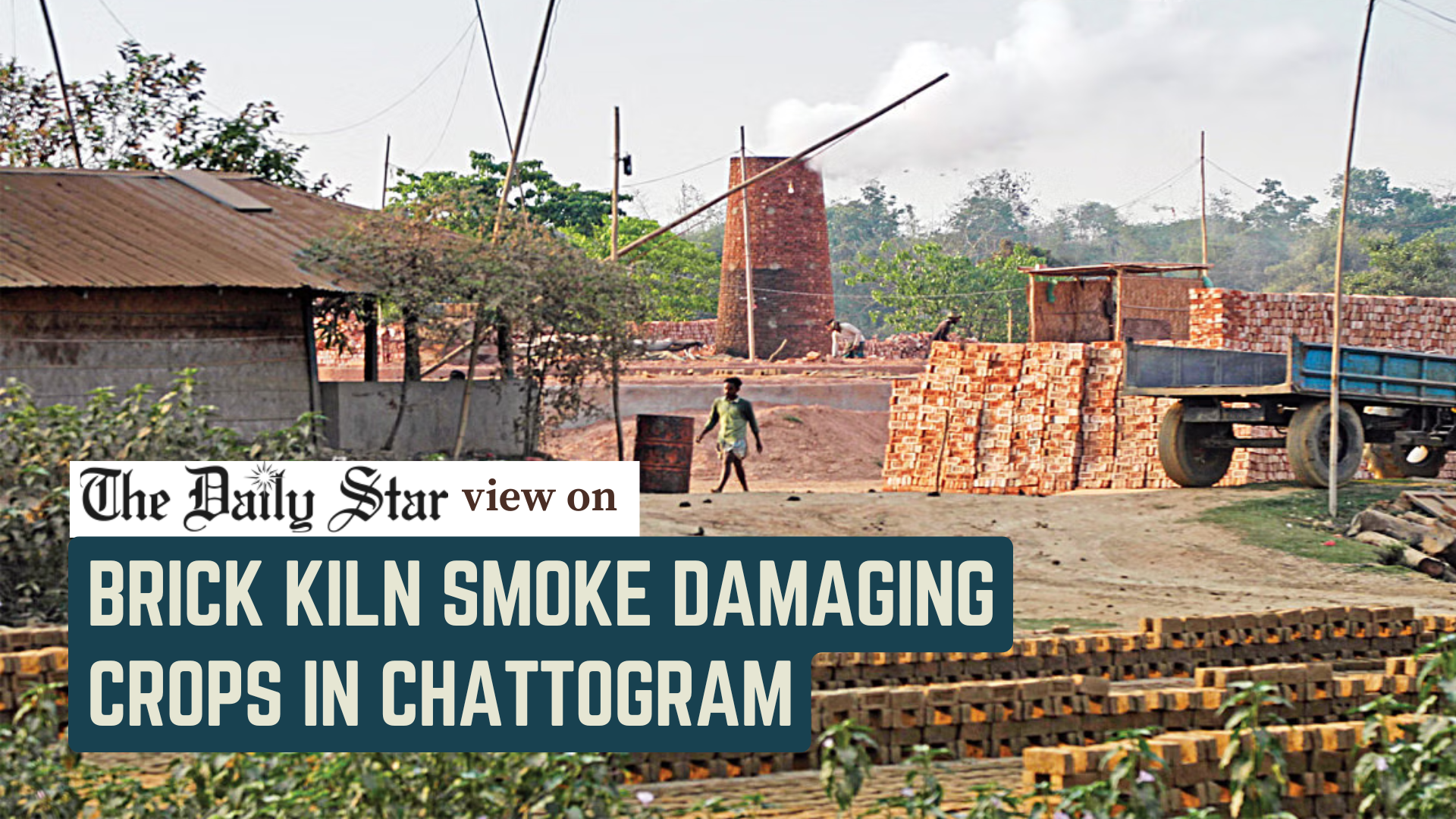 Take steps against brick kilns set up on farmlands