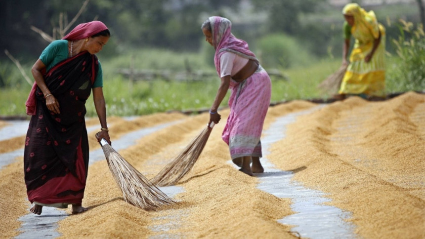 How agro-processing can secure Bangladesh’s export resilience
