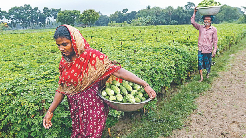 Our farmers are leading the fight against climate change