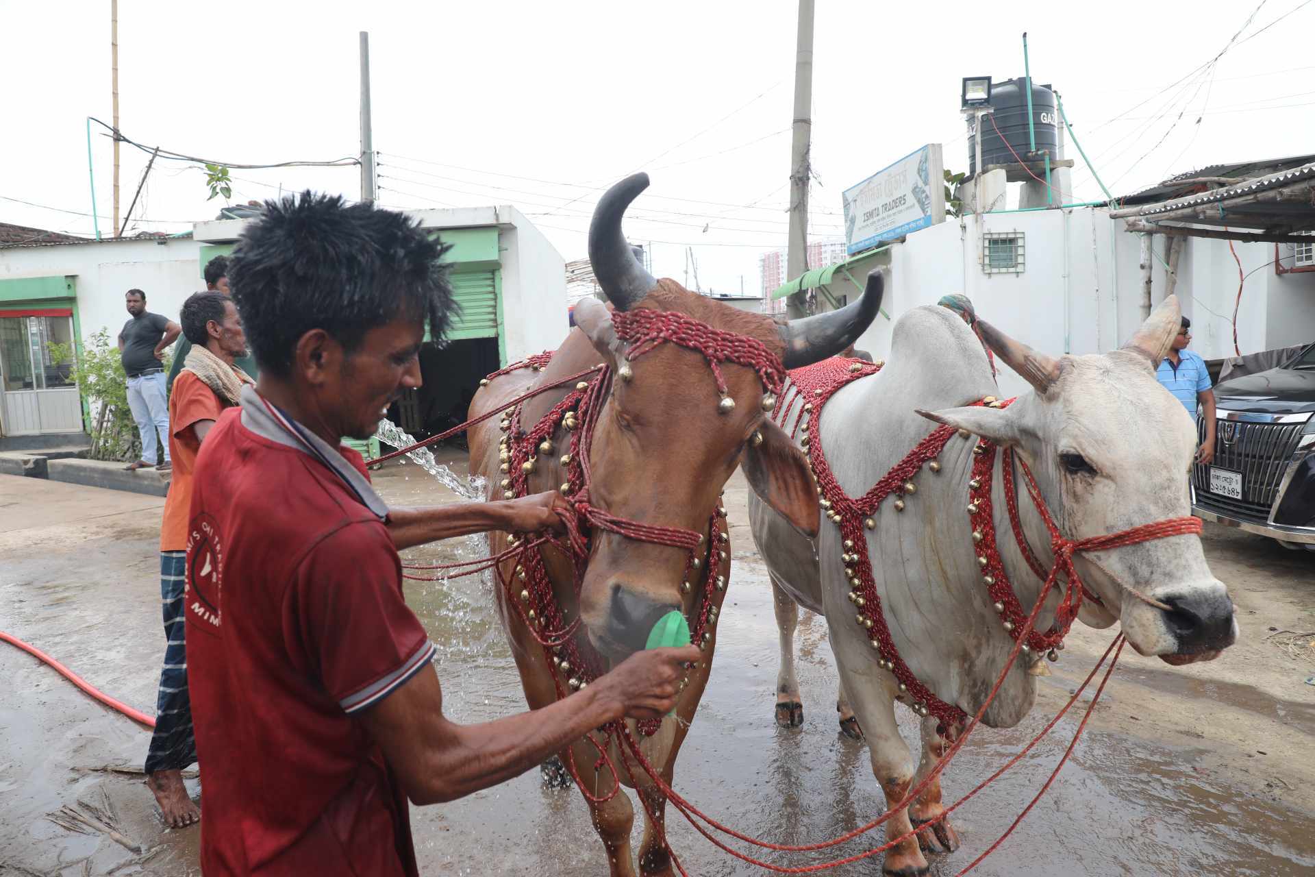 When mercy is missing from sacrifice