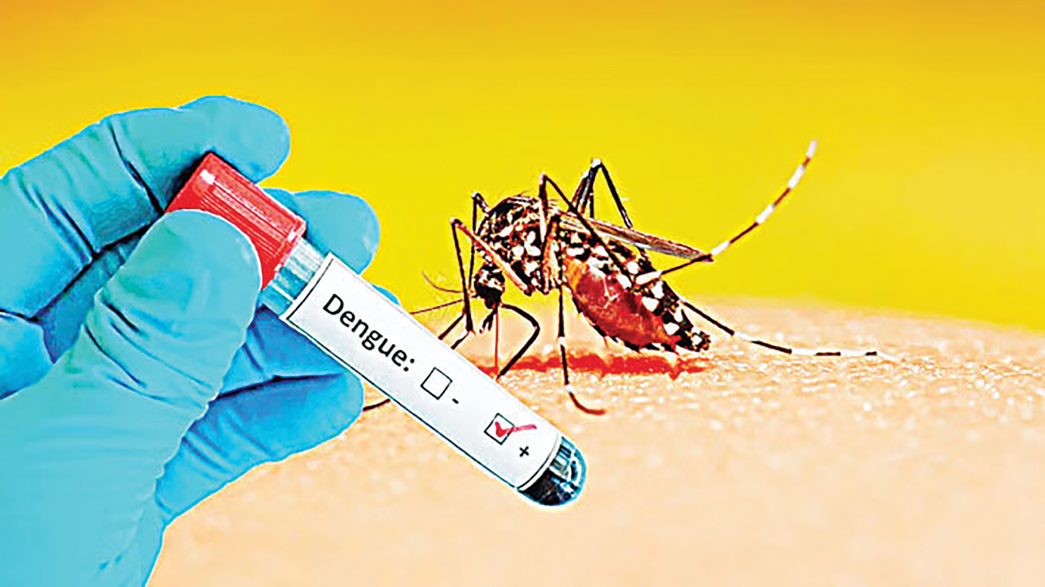 5 die of dengue in country