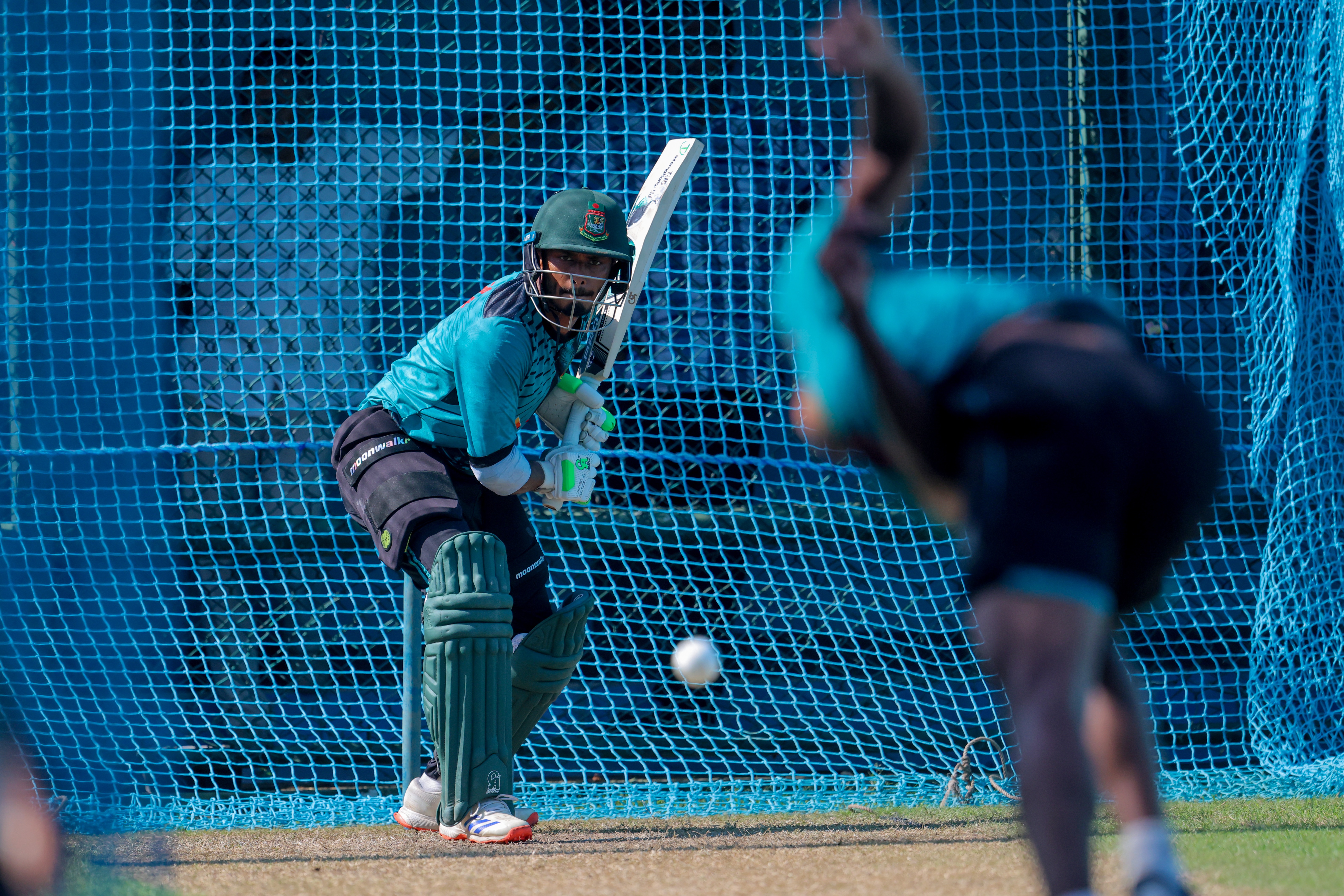 Battered Tigers seek redemption 