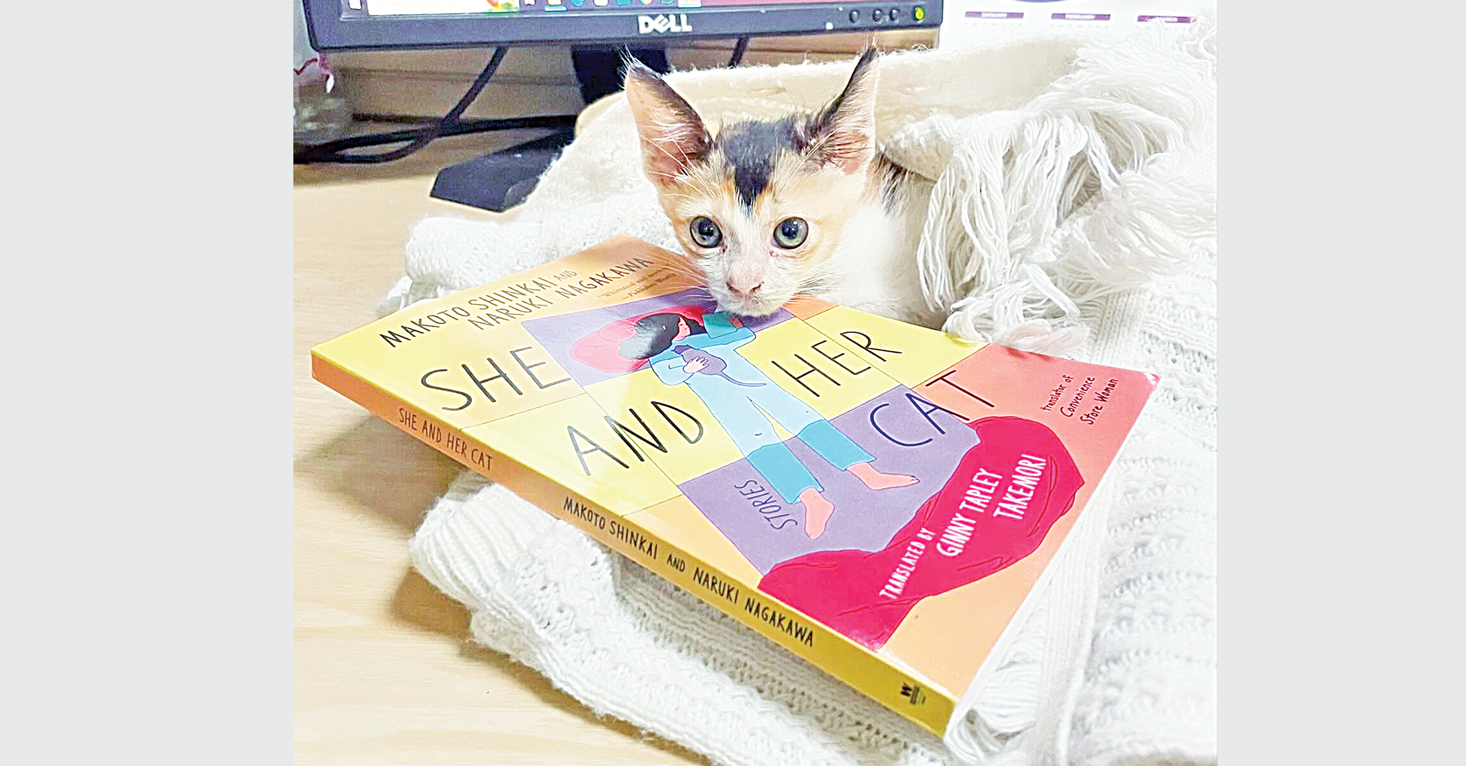 ‘She and Her Cat’ and the quiet power of presence