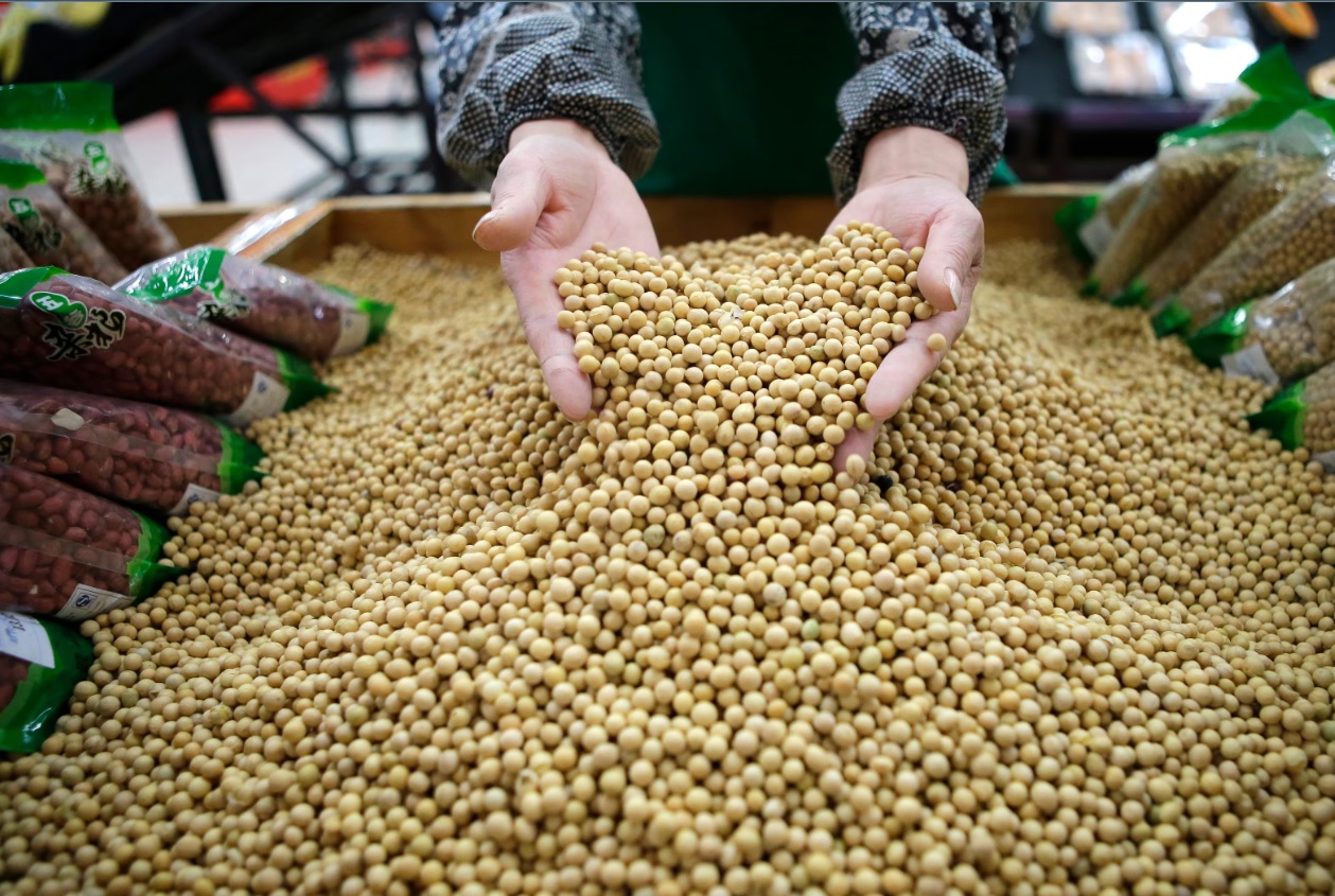 Meghna, City, Delta to import $1 billion worth of US soybean