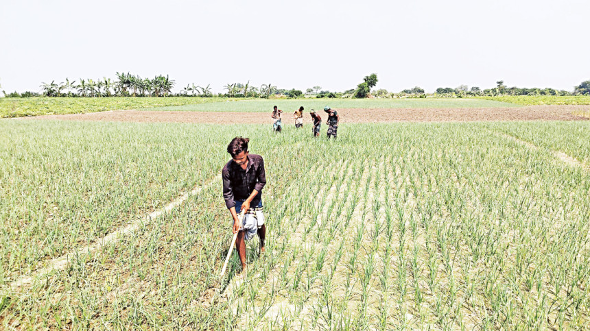 Incentives flow freely for big businesses, but farmers face barriers: adviser