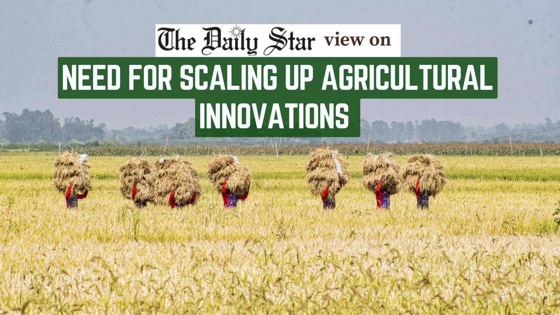 Time for urgent, climate-smart reforms in agriculture