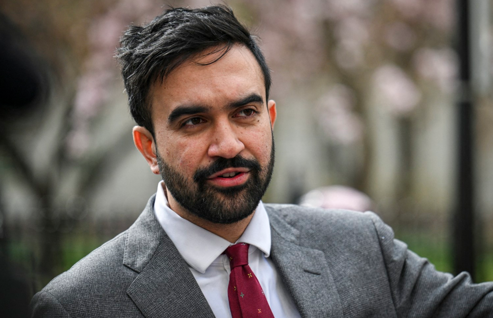 Mira Nair once wanted son Zohran Mamdani to lead ‘A Suitable Boy’