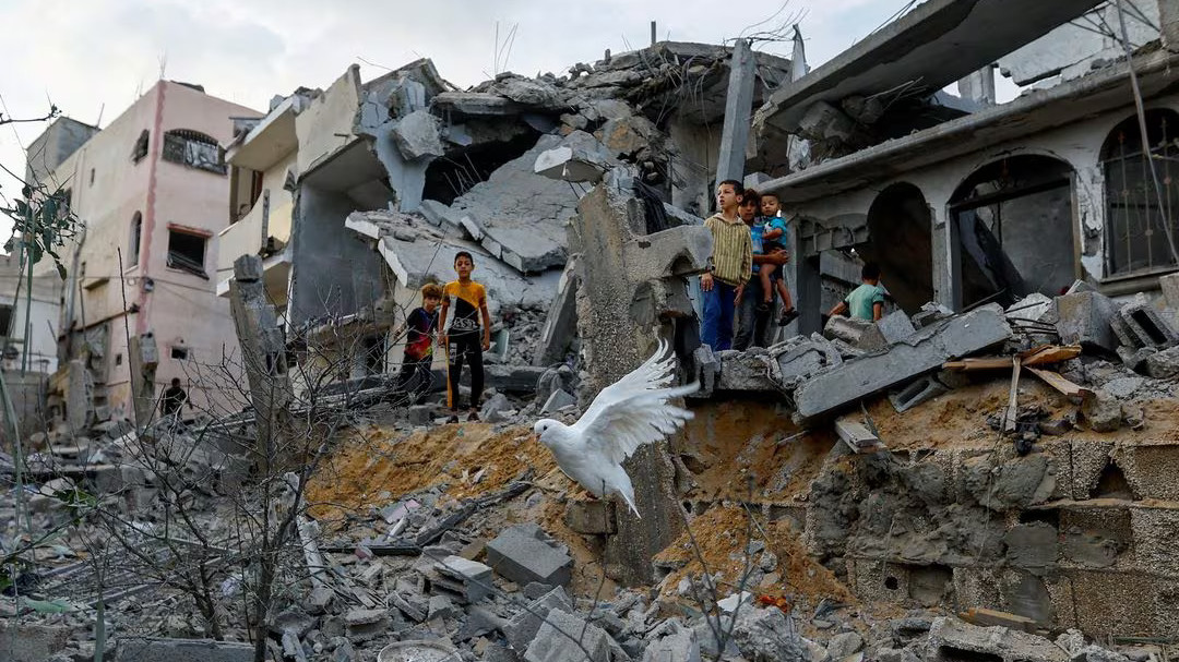 Parents Circle-Families Forum: Bereaved families of Palestine, Israel champion peace