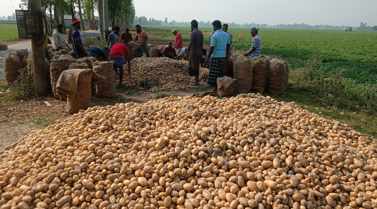 How to balance potato farmers’ gains with consumers’ needs