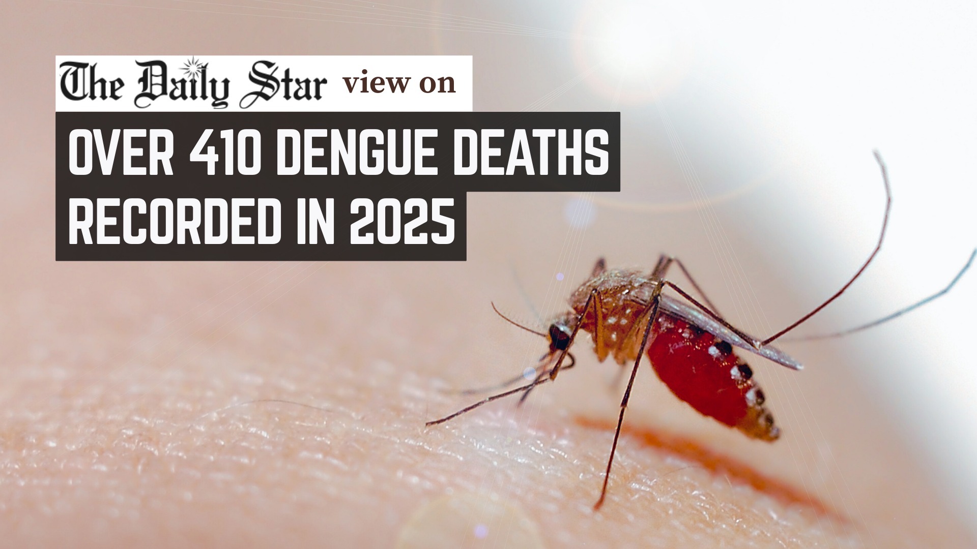 Act now to stop next dengue outbreak