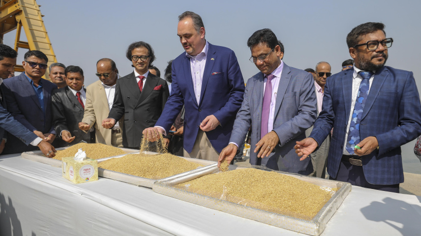 Import wheat from USA (12).jpg