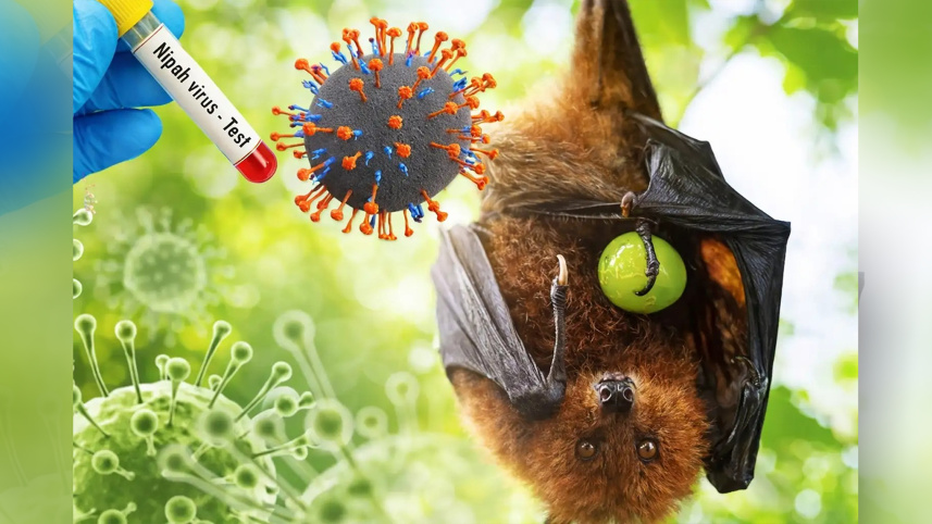 Nipah virus signs and symptoms