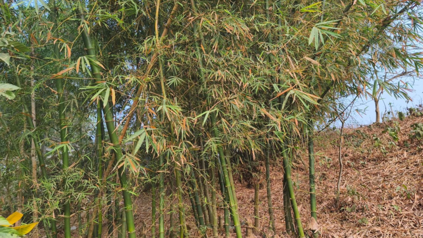 19201080 frame - 2026-03-11T192734.453.jpg