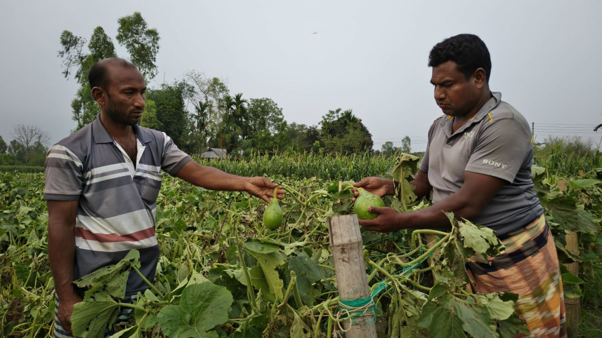 Lalmonirhat.jpg
