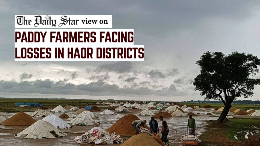 EDITORIAL 1 - Haor paddy farmers in facing losses.jpg
