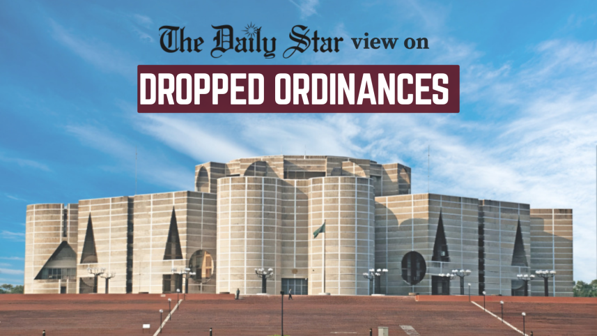 dropped ordinances .png