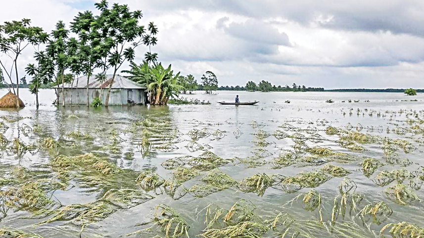 haor-wetland.jpg