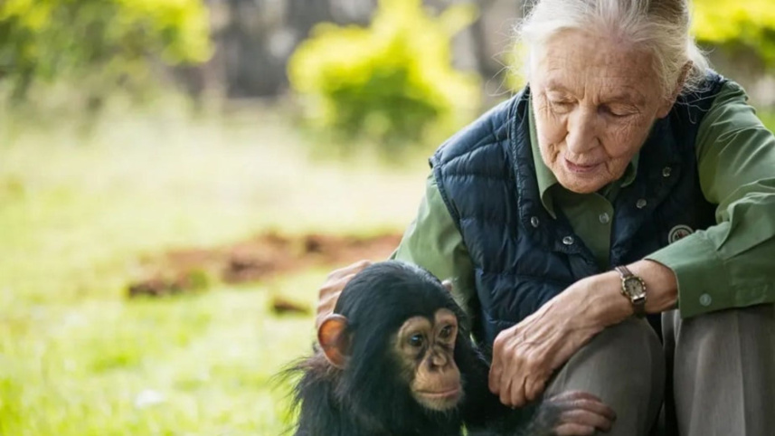 jane-goodall.jpg