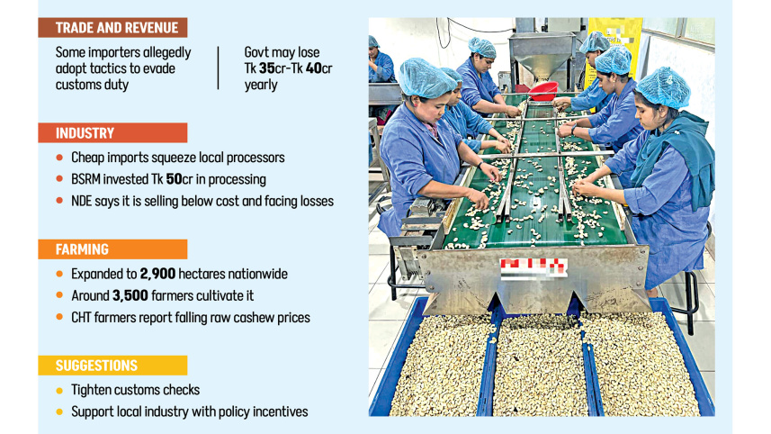 Local-cashew-industry.jpg