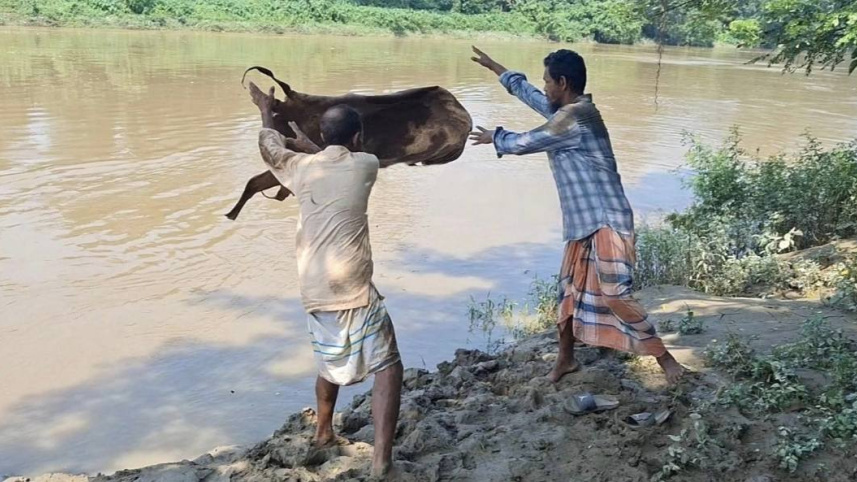 Rawhide_Dump_Moulvibazar__0.jpg